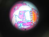 Scenographie 4 * 2816 x 2112 * (2.82MB)